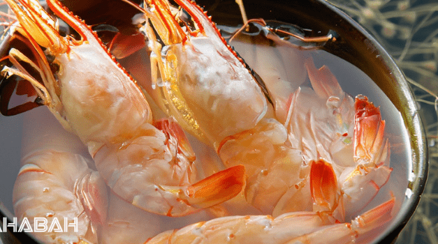 Is Shrimp Halal: The Scale of the Matter