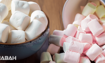 Is Marshmallow Halal: The Controversy Around Gelatin Explained