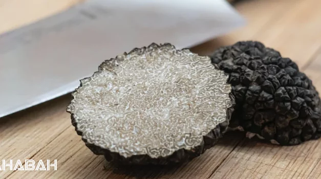 Is Truffle Halal: Demystifying The Luxury Fungus For Muslims