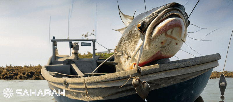 Is Catfish Halal: Before You Hook, Line and Sinker