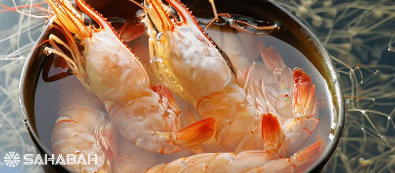 Is Shrimp Halal: The Scale of the Matter