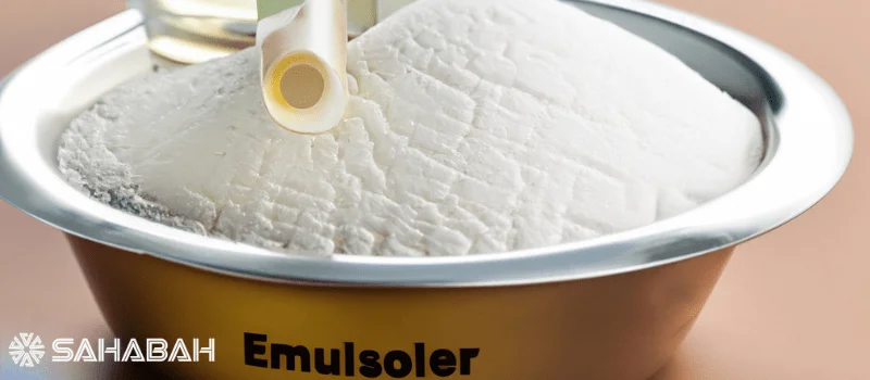 Is Emulsifier Halal: Food for Thought