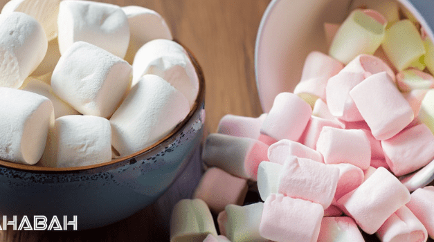 Is Marshmallow Halal: The Controversy Around Gelatin Explained