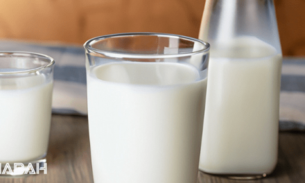 Is Milk Halal: Understanding the Key Factors in Islamic Dietary Law