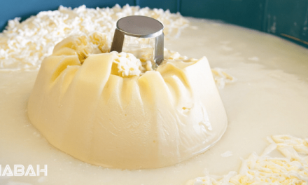 Is Rennet Halal: What Muslim Cheese Lovers Need to Know