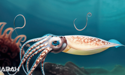 Is Squid Halal: The Ultimate Guide