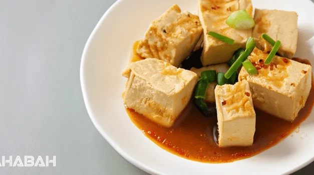 Is Tofu Halal: Forbidden or Blessed