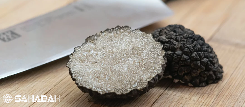 Is Truffle Halal: Demystifying The Luxury Fungus For Muslims