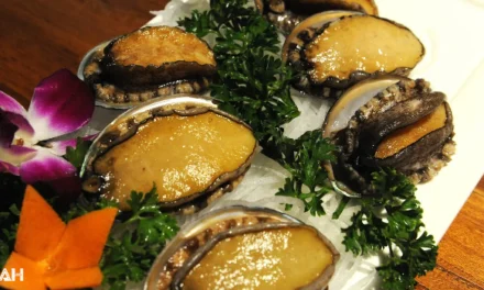 Is Abalone Halal? A Definitive Guide for Muslim Consumers