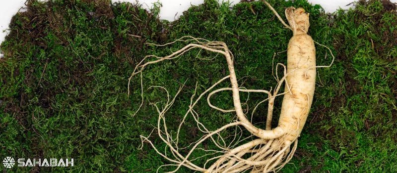 Is Ginseng Halal? A Detailed Analysis